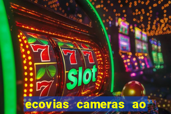 ecovias cameras ao vivo santos